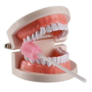 HS-J06 Dental sponge